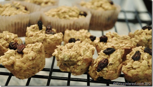 Oatmeal Pumpkin Muffin Cakes